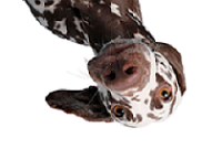 img-login1